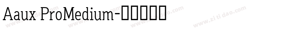 Aaux ProMedium字体转换
